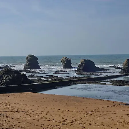 Шале Joli Pour 6, Avec Piscine La Paree Preneau